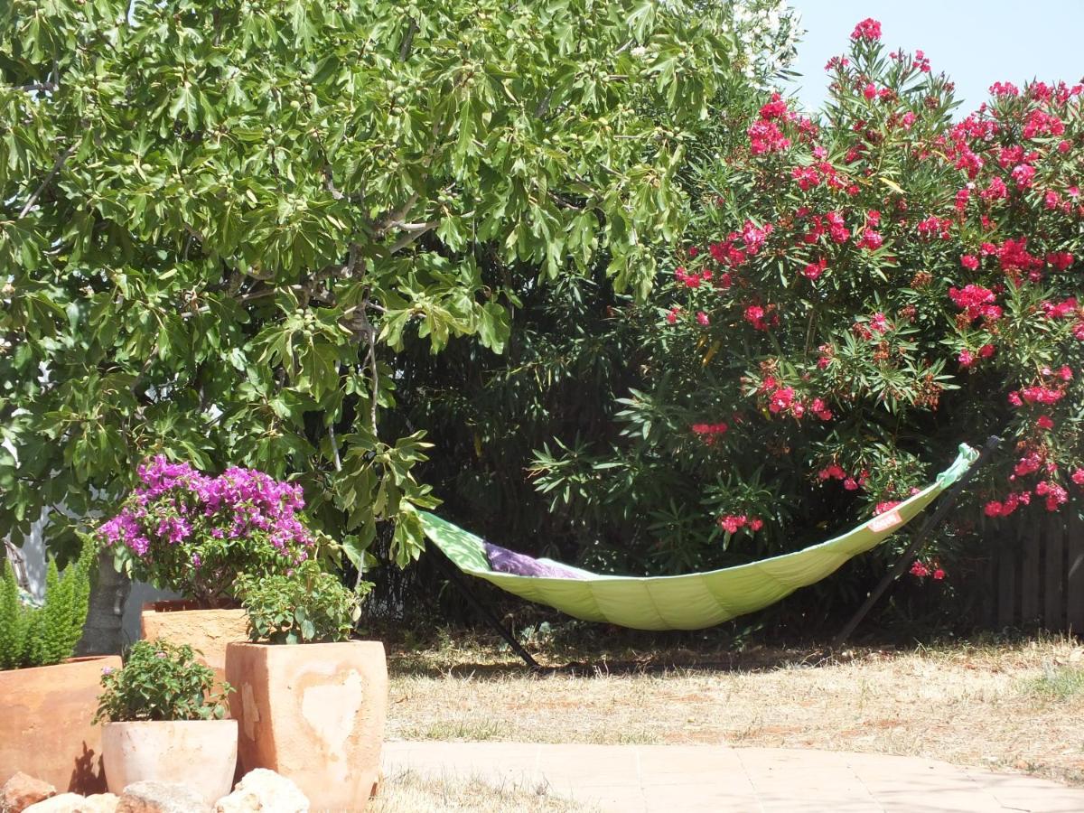 Buena Idea - Adults Only Bed and Breakfast Jalón Exteriör bild
